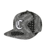 Gorra con estampado, gorra de béisbol con estampado de Cachemira